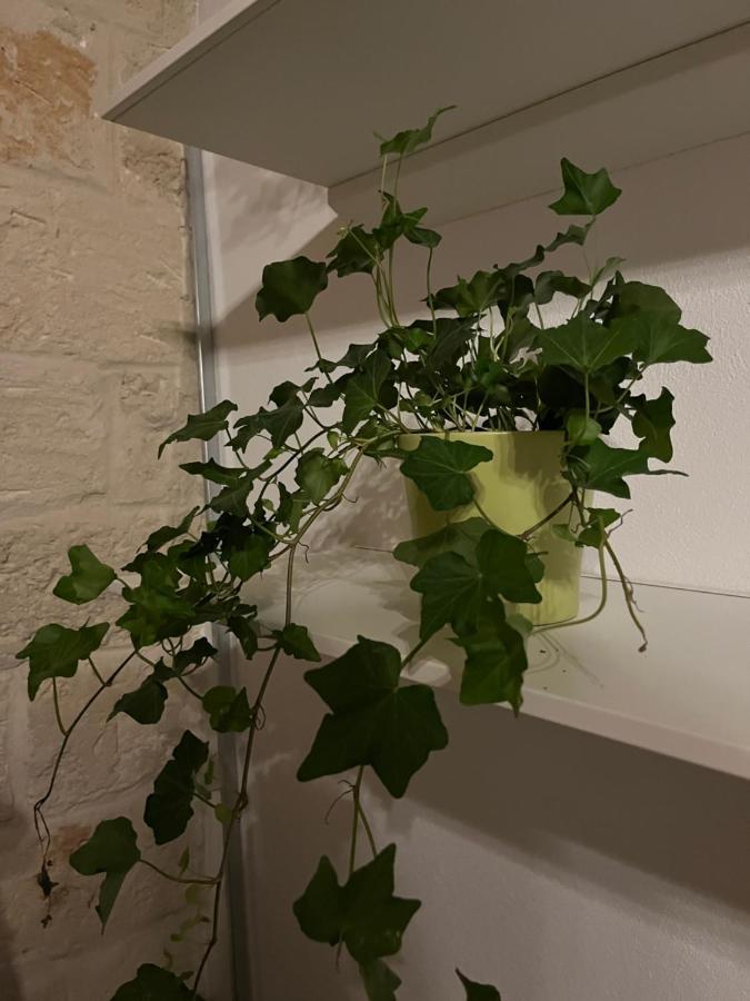 La Mattonella Monella Appartement Bari Buitenkant foto